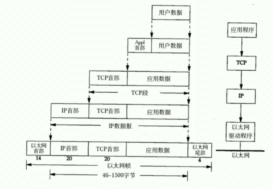 【基础】校招，你必须得会的知识（网络篇 ）01──初识HTTP